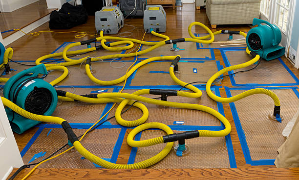 Professional Crawl Space Water Removal technician working in Sparta, NC